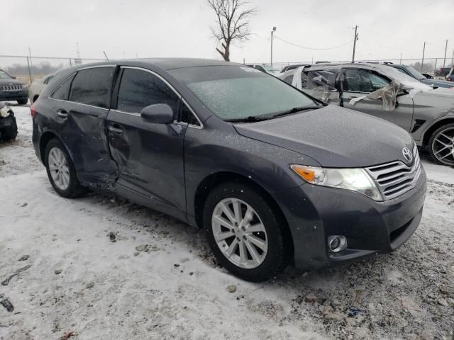 2010 Toyota Venza