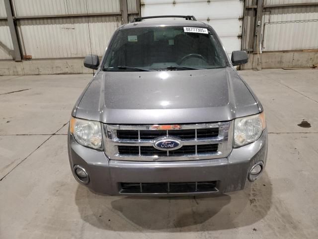 2010 Ford Escape XLT