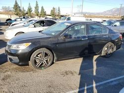 Honda salvage cars for sale: 2017 Honda Accord Sport Special Edition