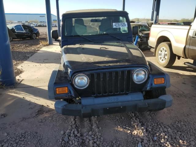 2004 Jeep Wrangler / TJ SE