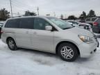 2005 Honda Odyssey EXL