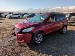 Ford Escape Vehiculos salvage en venta: 2013 Ford Escape SE