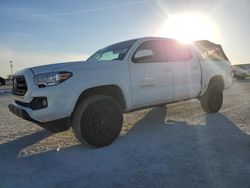 Salvage cars for sale at Arcadia, FL auction: 2019 Toyota Tacoma Double Cab