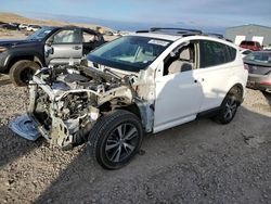 Toyota salvage cars for sale: 2017 Toyota Rav4 XLE