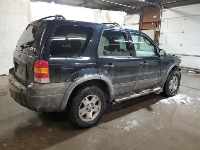 2006 Ford Escape XLT