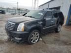 2010 Cadillac Escalade Premium