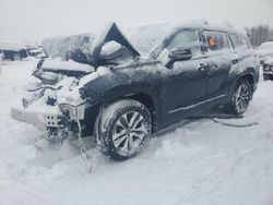 Salvage cars for sale at Wayland, MI auction: 2023 Toyota Highlander L