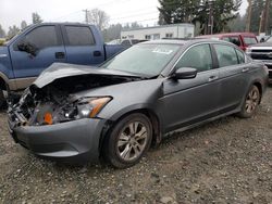 Honda Accord salvage cars for sale: 2008 Honda Accord LXP