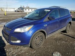 Ford salvage cars for sale: 2013 Ford Escape SE