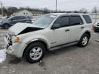 2008 Ford Escape XLT