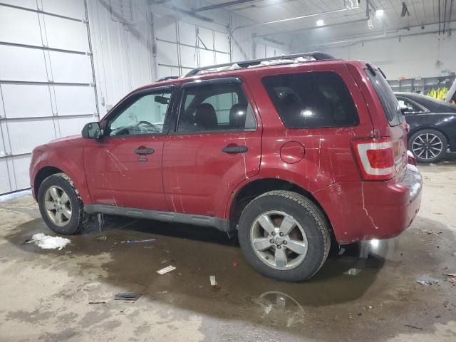 2010 Ford Escape XLT