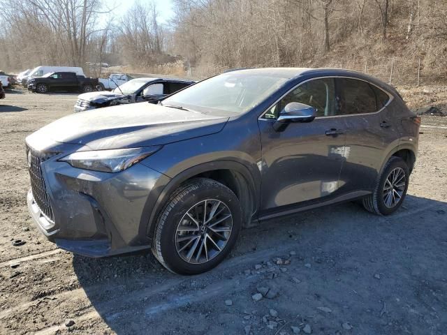 2023 Lexus NX 350