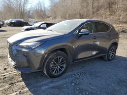 Lexus nx 350 Vehiculos salvage en venta: 2023 Lexus NX 350