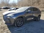 2023 Lexus NX 350