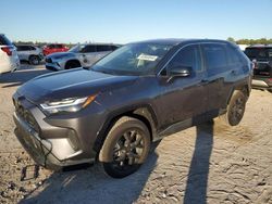 Toyota salvage cars for sale: 2024 Toyota Rav4 LE