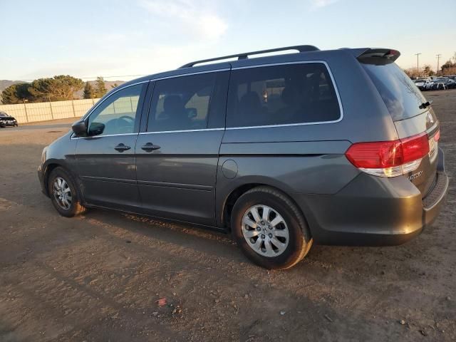 2008 Honda Odyssey EXL