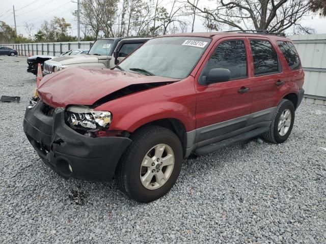 2005 Ford Escape XLT