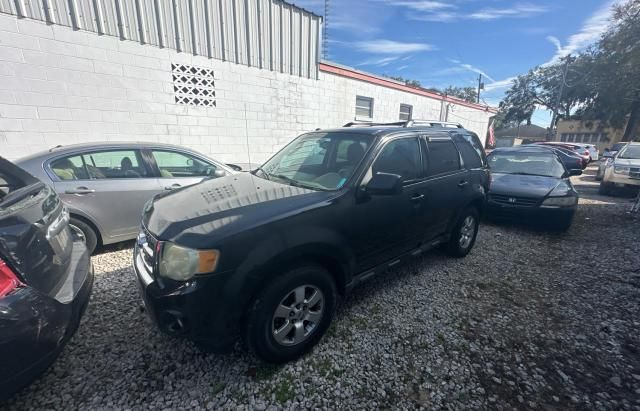 2010 Ford Escape Limited