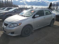 Vehiculos salvage en venta de Copart Bowmanville, ON: 2009 Toyota Corolla Base