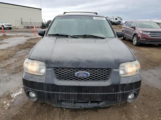 2007 Ford Escape XLT