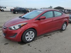 Hyundai salvage cars for sale: 2016 Hyundai Elantra SE