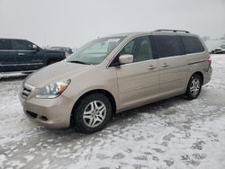 Honda Vehiculos salvage en venta: 2005 Honda Odyssey EXL