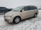 2005 Honda Odyssey EXL