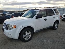 Salvage cars for sale at Anderson, CA auction: 2011 Ford Escape XLT