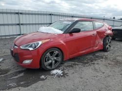 Salvage cars for sale at Fredericksburg, VA auction: 2014 Hyundai Veloster