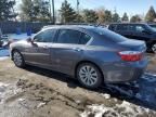 2013 Honda Accord EXL