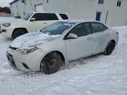 Salvage cars for sale at Cookstown, ON auction: 2016 Toyota Corolla L