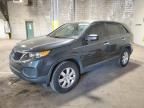 2011 KIA Sorento Base