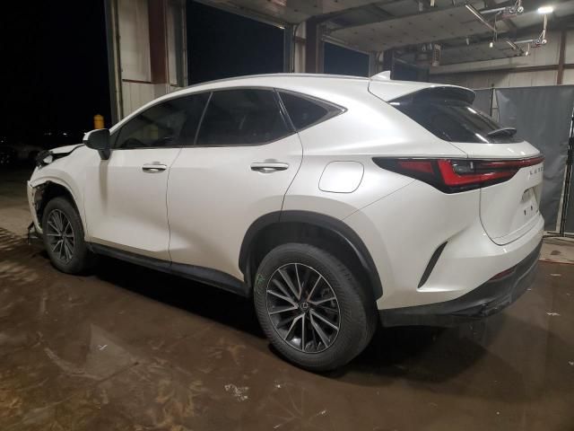 2024 Lexus NX 350 Base