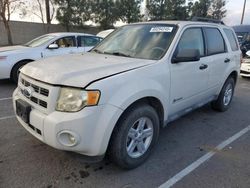 Salvage cars for sale at Rancho Cucamonga, CA auction: 2009 Ford Escape Hybrid