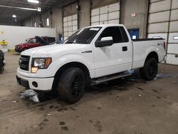 Salvage cars for sale at Blaine, MN auction: 2013 Ford F150