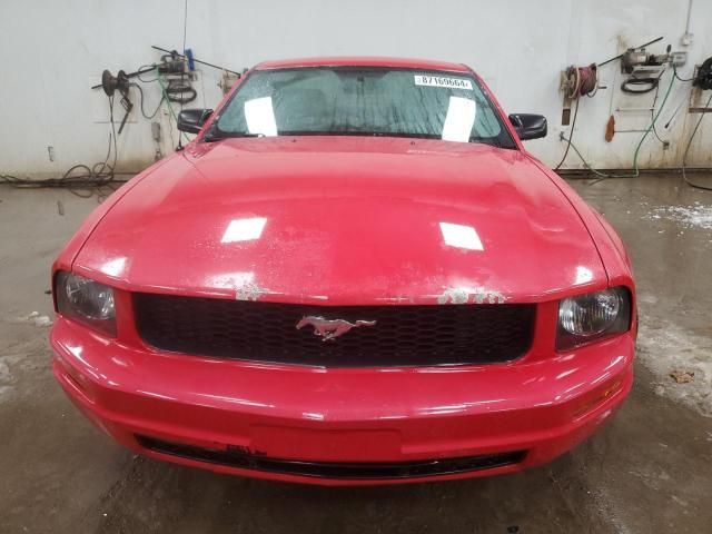 2005 Ford Mustang