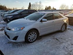 Toyota Vehiculos salvage en venta: 2014 Toyota Camry L