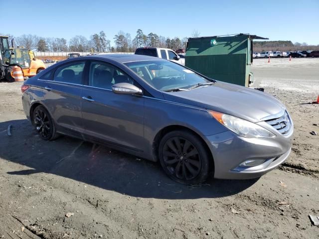 2011 Hyundai Sonata SE