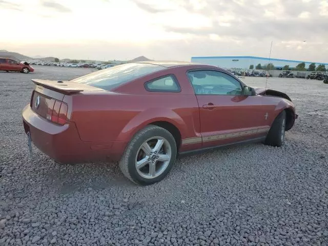 2008 Ford Mustang