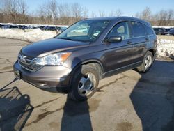 SUV salvage a la venta en subasta: 2010 Honda CR-V EX