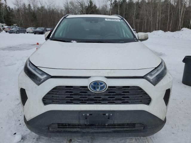 2024 Toyota Rav4 XLE