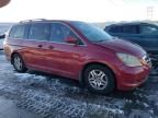 2005 Honda Odyssey EXL