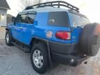 2007 Toyota FJ Cruiser