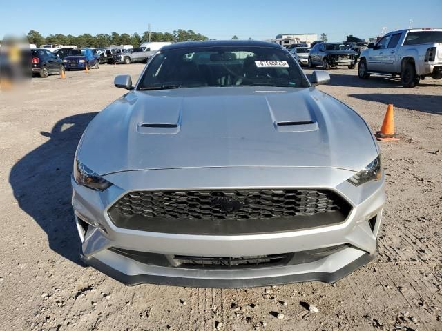 2019 Ford Mustang