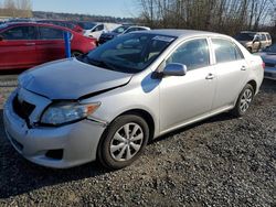 Salvage cars for sale at Arlington, WA auction: 2009 Toyota Corolla Base