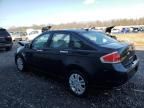 2009 Ford Focus SEL