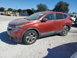 Salvage cars for sale at Apopka, FL auction: 2019 Honda CR-V EX