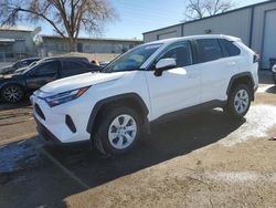 Salvage cars for sale at Albuquerque, NM auction: 2024 Toyota Rav4 LE