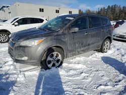 Salvage cars for sale at Cookstown, ON auction: 2014 Ford Escape SE