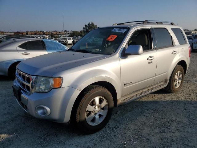 2009 Ford Escape Hybrid